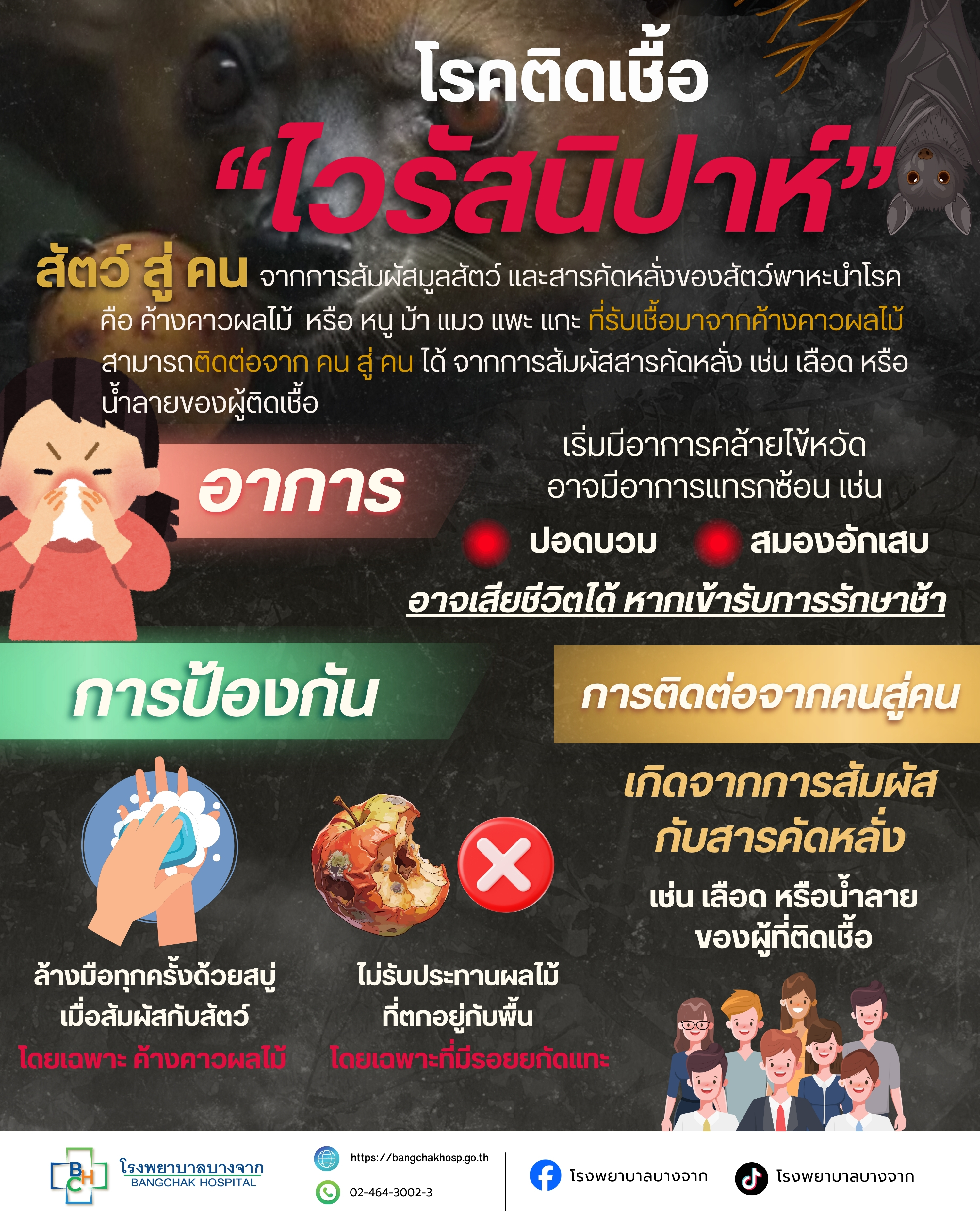 🦇  "ไวรัสนิปาห์" ❗❗